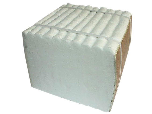 Ceramic fiber module